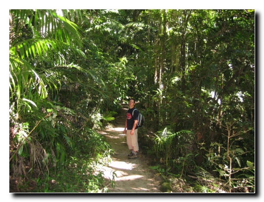 035 Aufstieg Mt.Warning